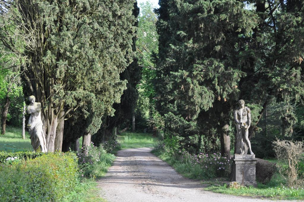 Armonie Di Villa Incontri B&B Florence Exterior photo